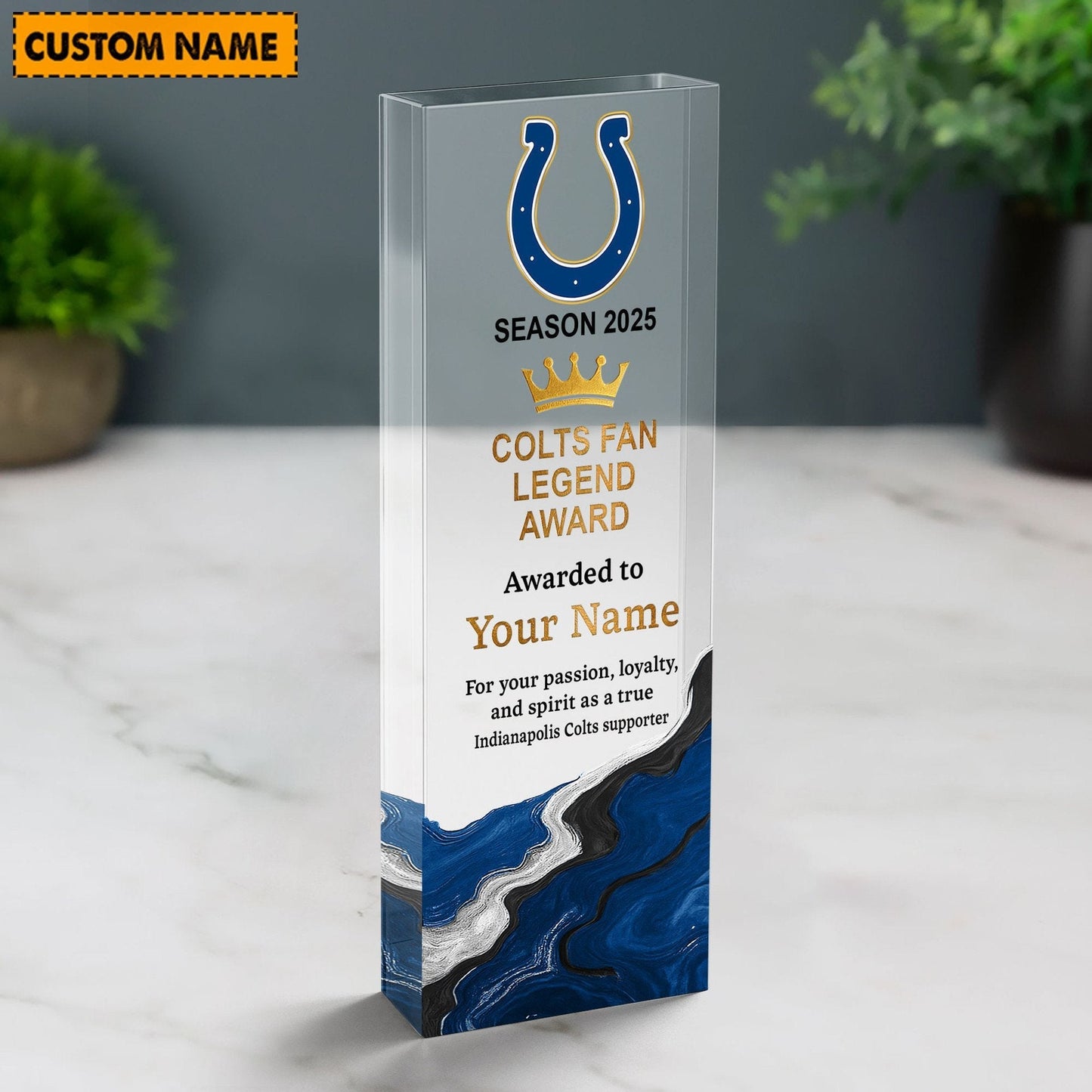 IC NFL Personalized Acrylic Award Plaque Funny Christmas Gift For Family DDT NTL