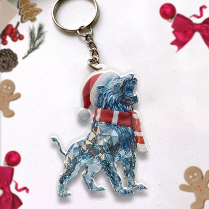 Premium NFL DET Combo Crystal Christmas Gifts V1 NMD 201025 TTV